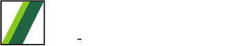Schwing Stetter